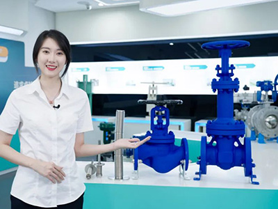 良工波紋管閥門系列為高危管路提供零泄露保障
